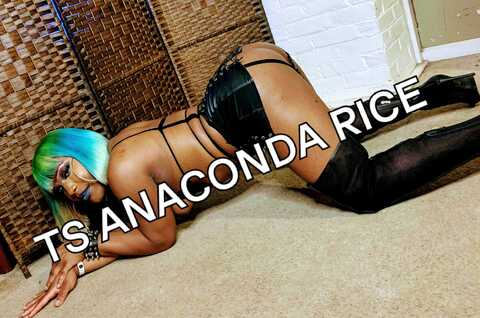 anconda_rice23 onlyfans leaked picture 2