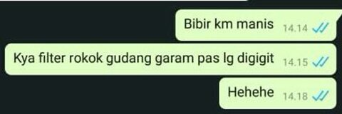 ariedha2arie onlyfans leaked picture 2