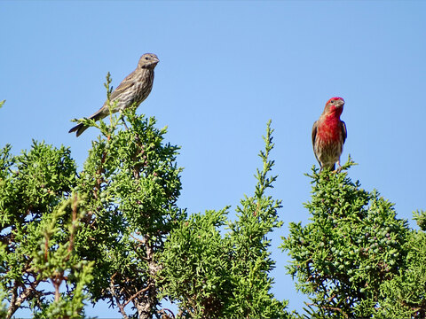 bassoon onlyfans leaked picture 1