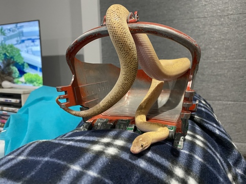 bobby161189 onlyfans leaked picture 1