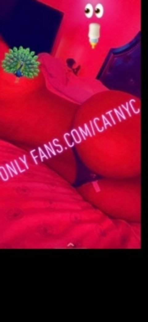 catnyc onlyfans leaked picture 1