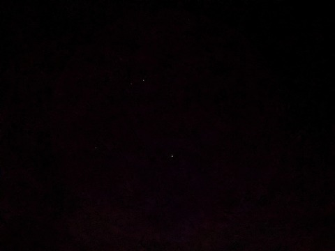 elfie onlyfans leaked picture 2