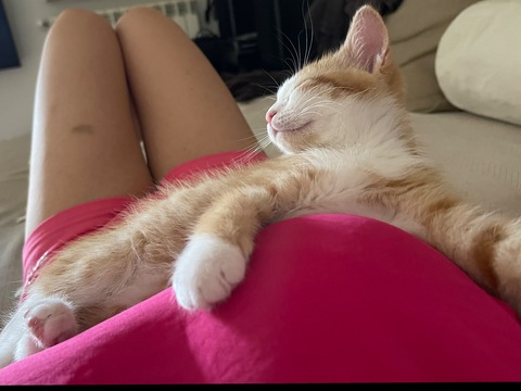 emanuelaluxx onlyfans leaked picture 2