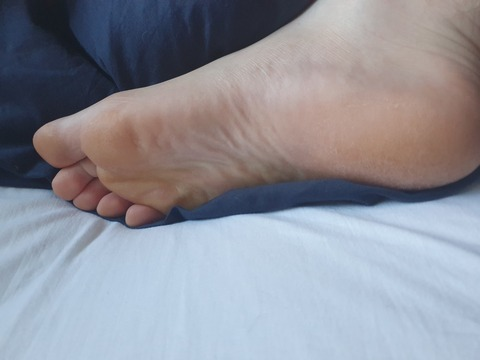 feet4bees onlyfans leaked picture 1