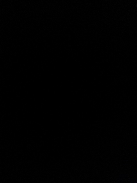 kendallswrldd onlyfans leaked picture 1