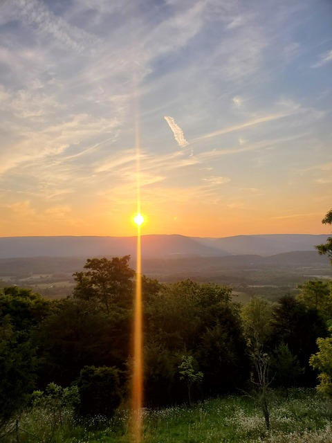 lippychic onlyfans leaked picture 1