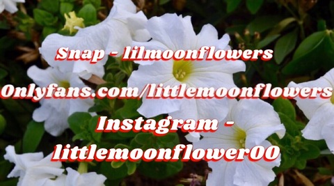 littlemoonflowers onlyfans leaked picture 1