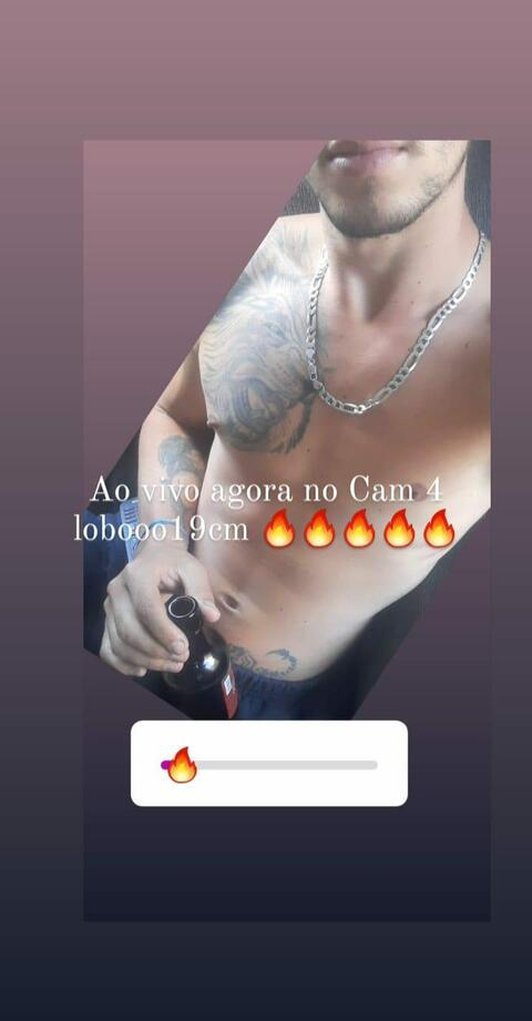 lobooo19cm onlyfans leaked picture 2