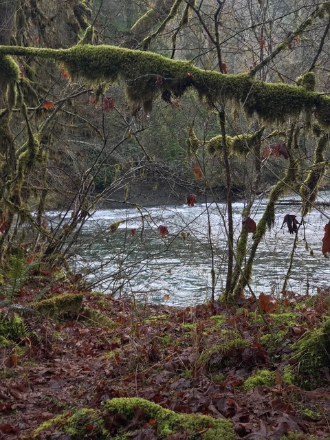 missdianehaney1 onlyfans leaked picture 1