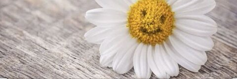 monster2a onlyfans leaked picture 1