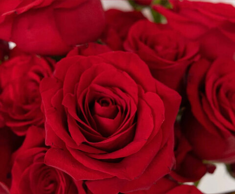 moonbeamxo onlyfans leaked picture 2