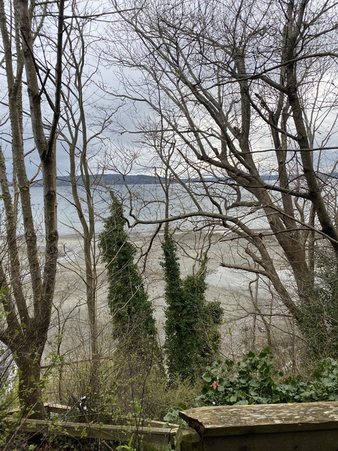 morena_mami2 onlyfans leaked picture 1