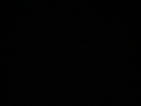 musclebear2b onlyfans leaked picture 1