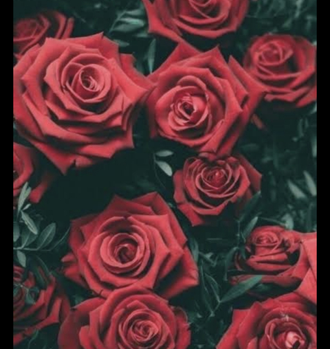 mxddie onlyfans leaked picture 2