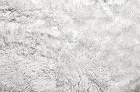 notsara onlyfans leaked picture 1