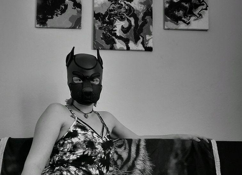 onestretchypup onlyfans leaked picture 2