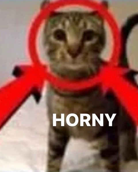 peach.niko onlyfans leaked picture 1