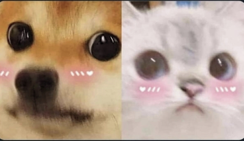 peiix.os onlyfans leaked picture 1