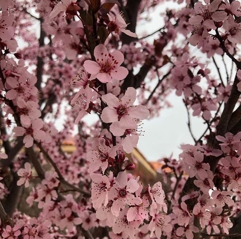 prettylilnaomi onlyfans leaked picture 1