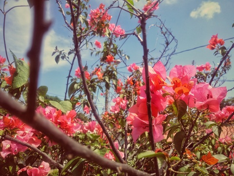 renez onlyfans leaked picture 2