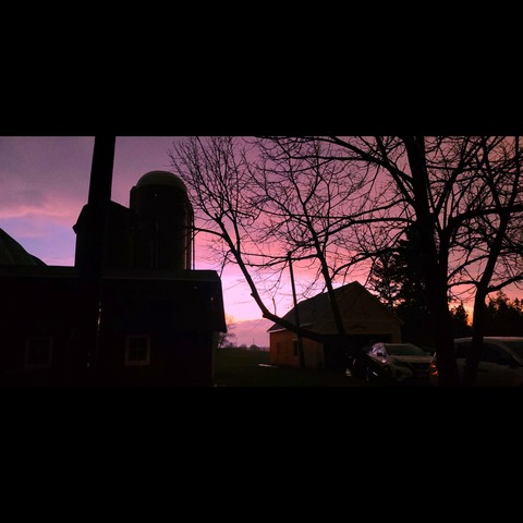 Onlyfans leak salem.foxx - models-gallery.com