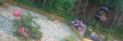 salima onlyfans leaked picture 2