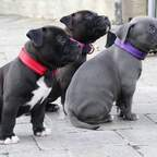 shoot_ahh onlyfans leaked picture 1