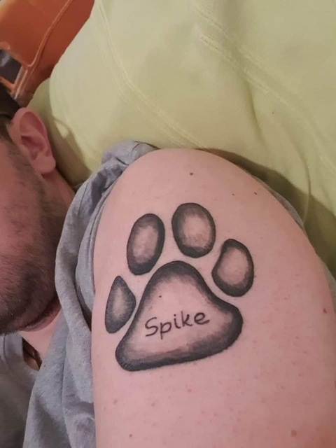 spikethedog87 onlyfans leaked picture 2