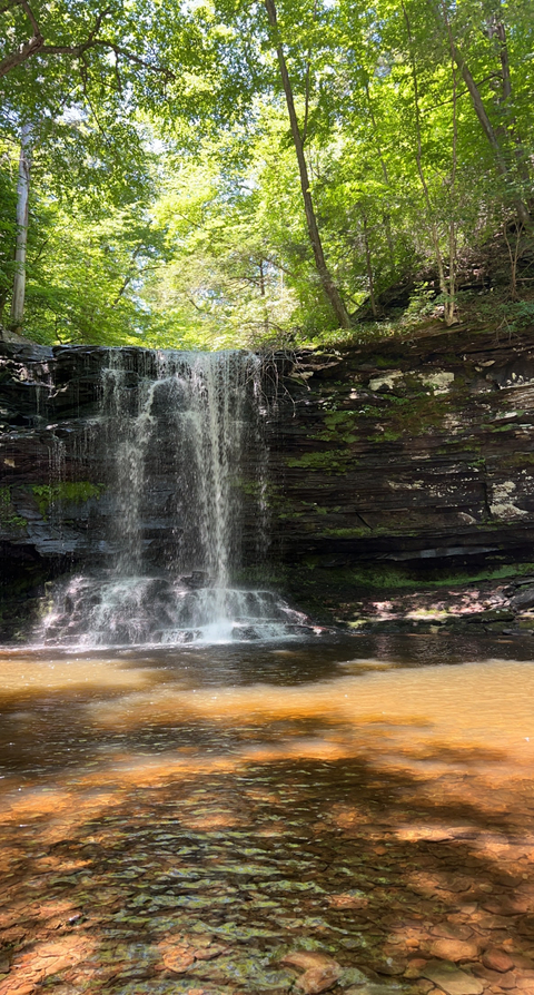 theofficialblonde onlyfans leaked picture 2