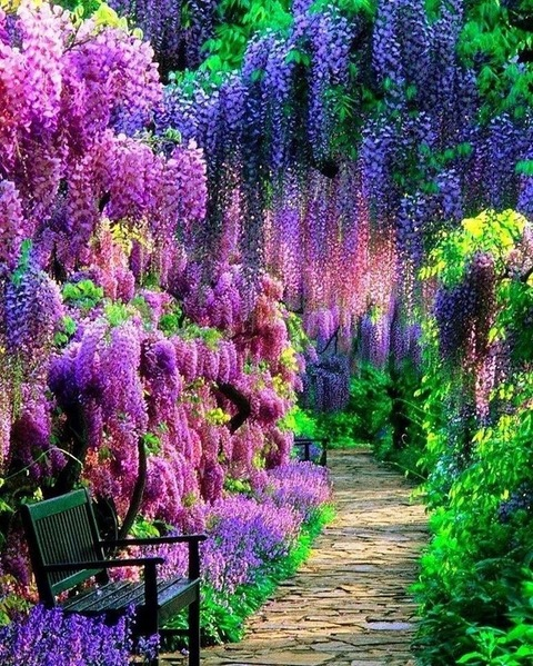 u227853950 onlyfans leaked picture 1