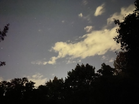 w0nderlust onlyfans leaked picture 1