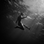 wolf2428 onlyfans leaked picture 1