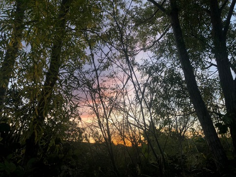 xx_tinkerbell onlyfans leaked picture 1