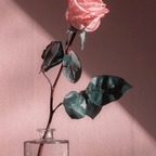 yourbestfantasybaby onlyfans leaked picture 1